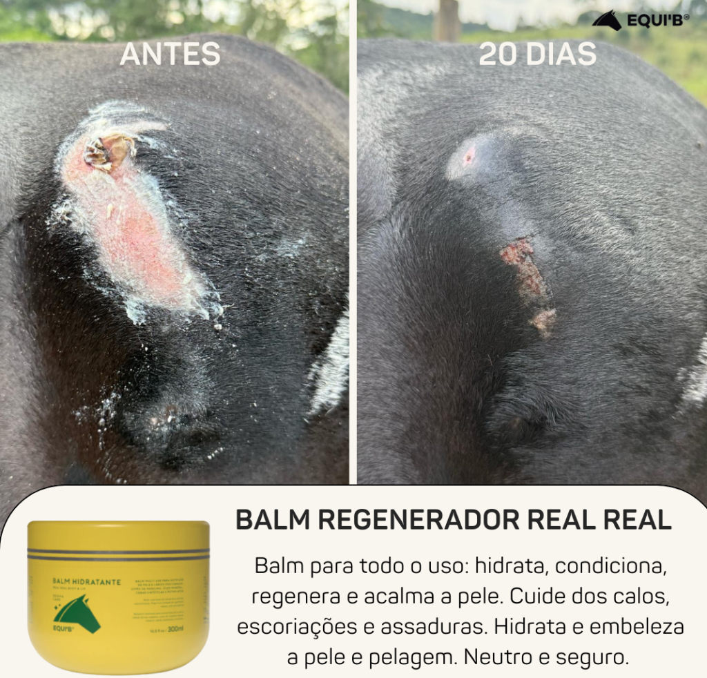O que passar em feridas superficiais de cavalo