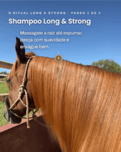 Abrilhantador estraga a crina do cavalo? Depende da fórmula, vem saber.