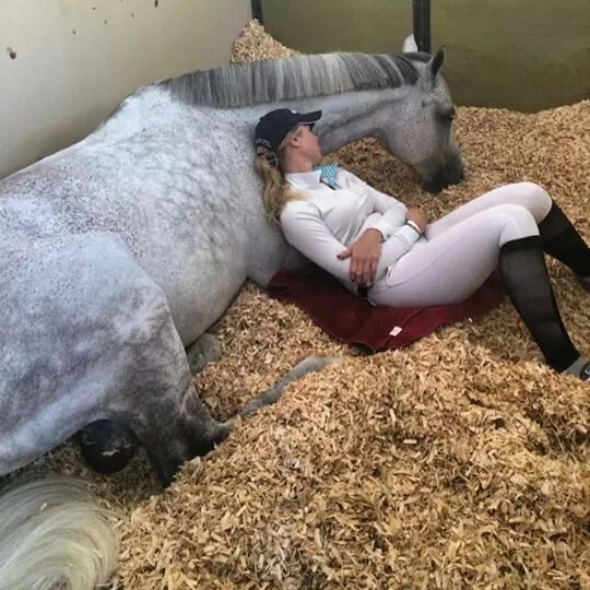 Sono do cavalo: a recuperação que só acontece deitado