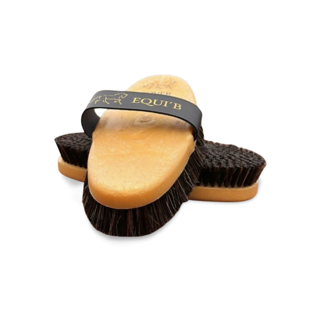 KIT GOLD EQUI'B: raspadeira e escova alemã de fibras naturais