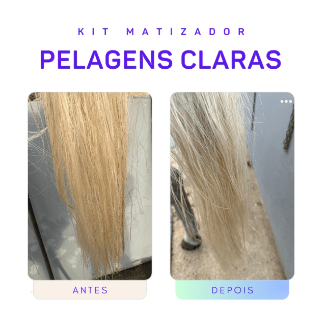 Rabo amarelado em cavalo branco: como clarear sem destruir o fio