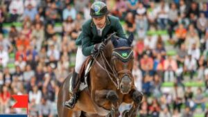 Doping em cavalo: produto tópico pode reprovar seu cavalo no antidoping